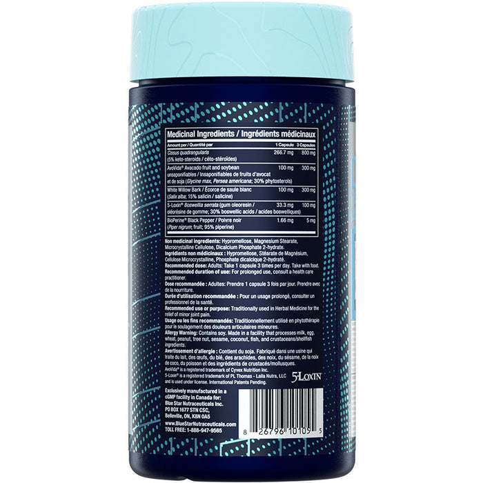 Blue Star Joint Armour 90 Caps