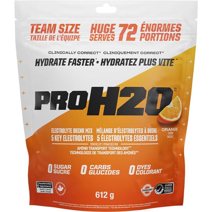 PVL Pro Series PRO H2O 612g Team Size - 72 Servings