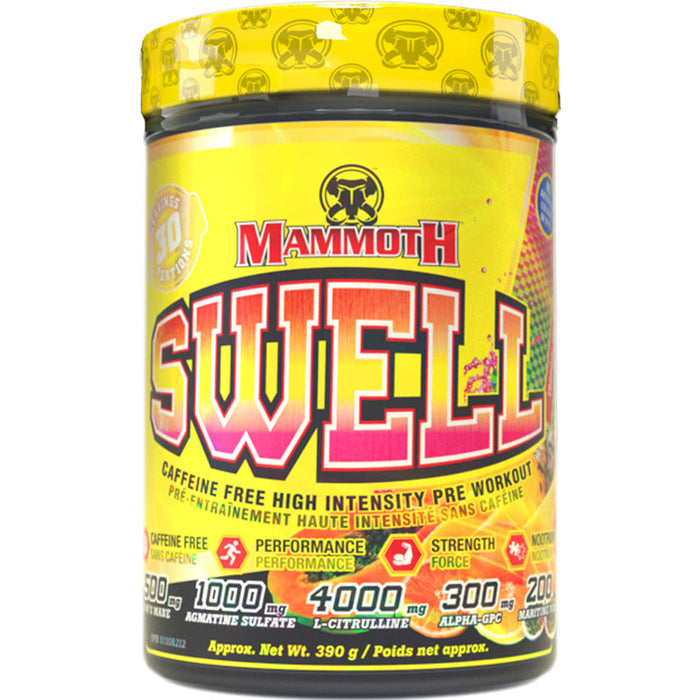 Mammoth Swell 30 Serve