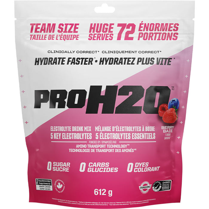 PVL Pro Series PRO H2O 612g Team Size - 72 Servings